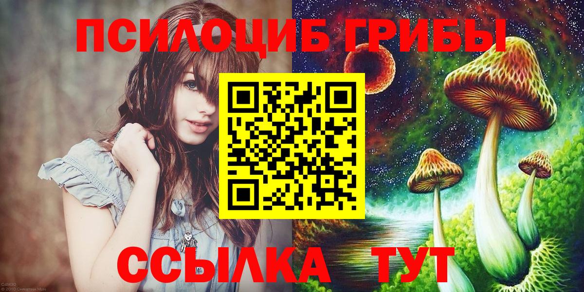 Псилоцибиновые грибы Cubensis Энгельс