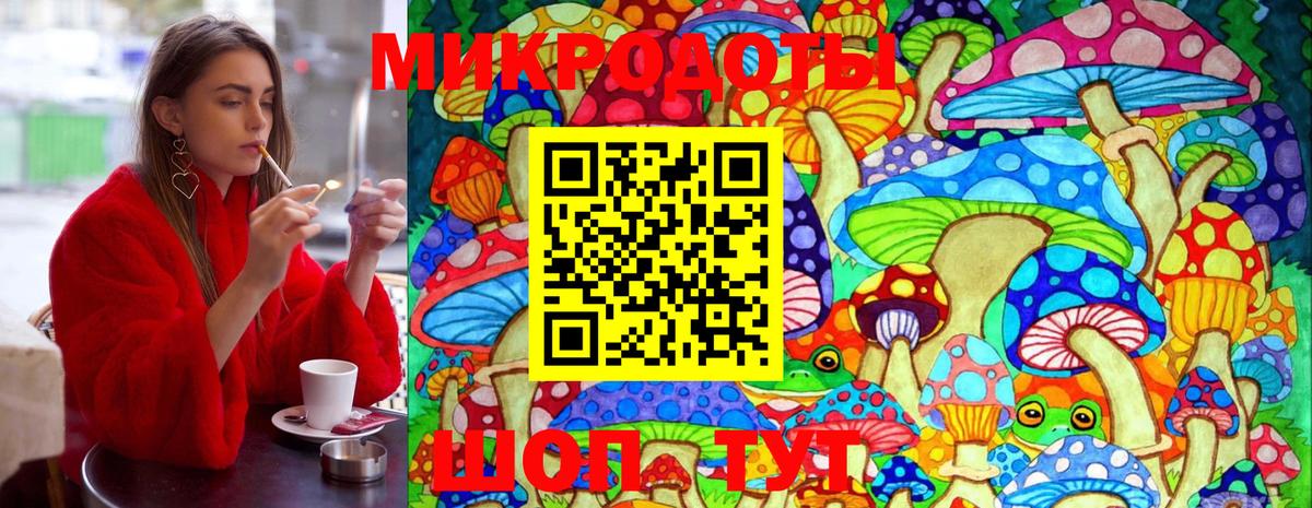 Галлюциногенные грибы мухоморы  где продают наркотики  Энгельс  Вход с VPN 